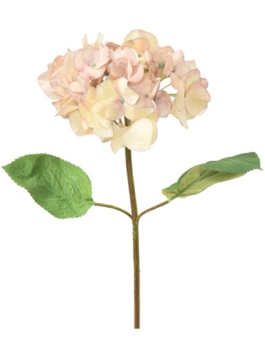 HORTENSIA KRONE