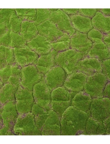 MOSS DEKOPLATTE 103 × 103