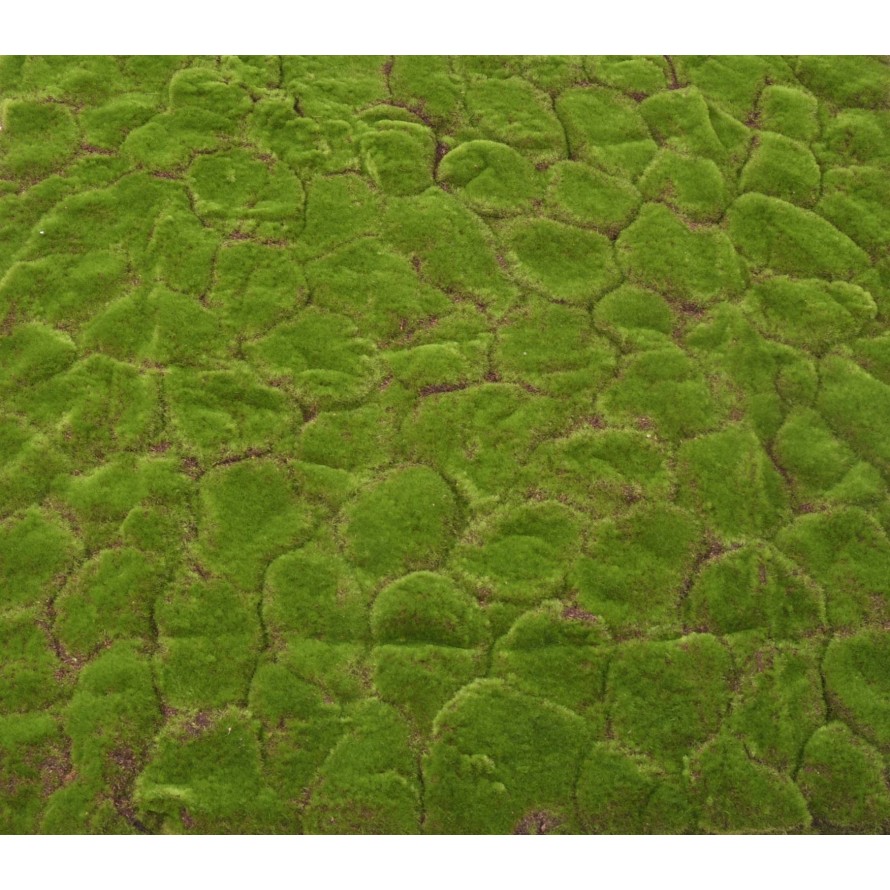 MOSS DEKOPLATTE 103 × 103