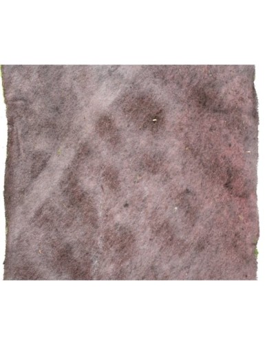 MOSS DEKOPLATTE 103 × 103