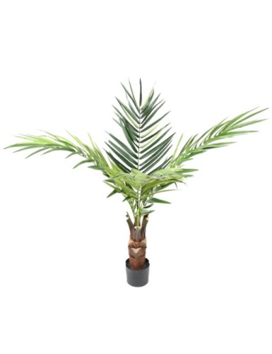 KENTIA PALMERA tronco