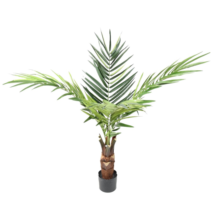 KENTIA PALMERA tronco