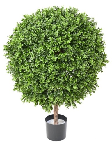 BOJ ESFERA NEW REGULAR...