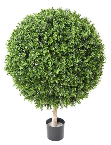 BUCHSBAUM KUGEL NEW REGULAR UV