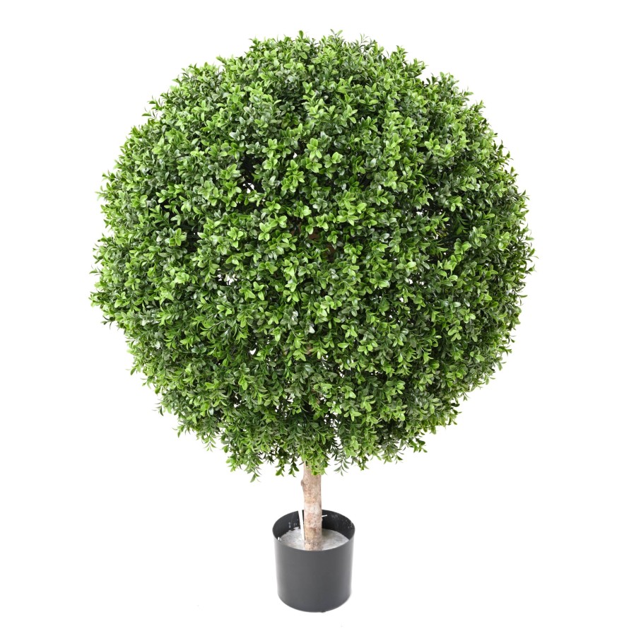 BUCHSBAUM KUGEL NEW REGULAR UV