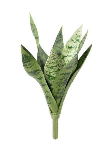 SANSEVIERIA STECKSTAB *9