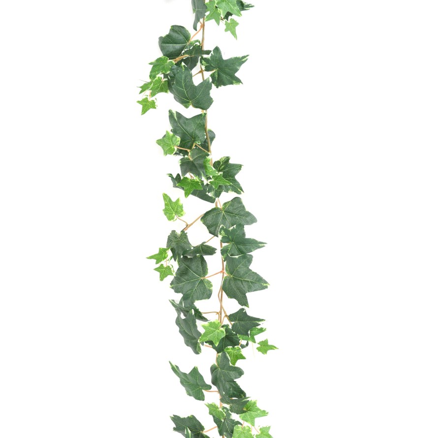 IVY (DUTCH) GARLAND 190