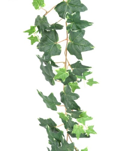 IVY (DUTCH) GARLAND 190
