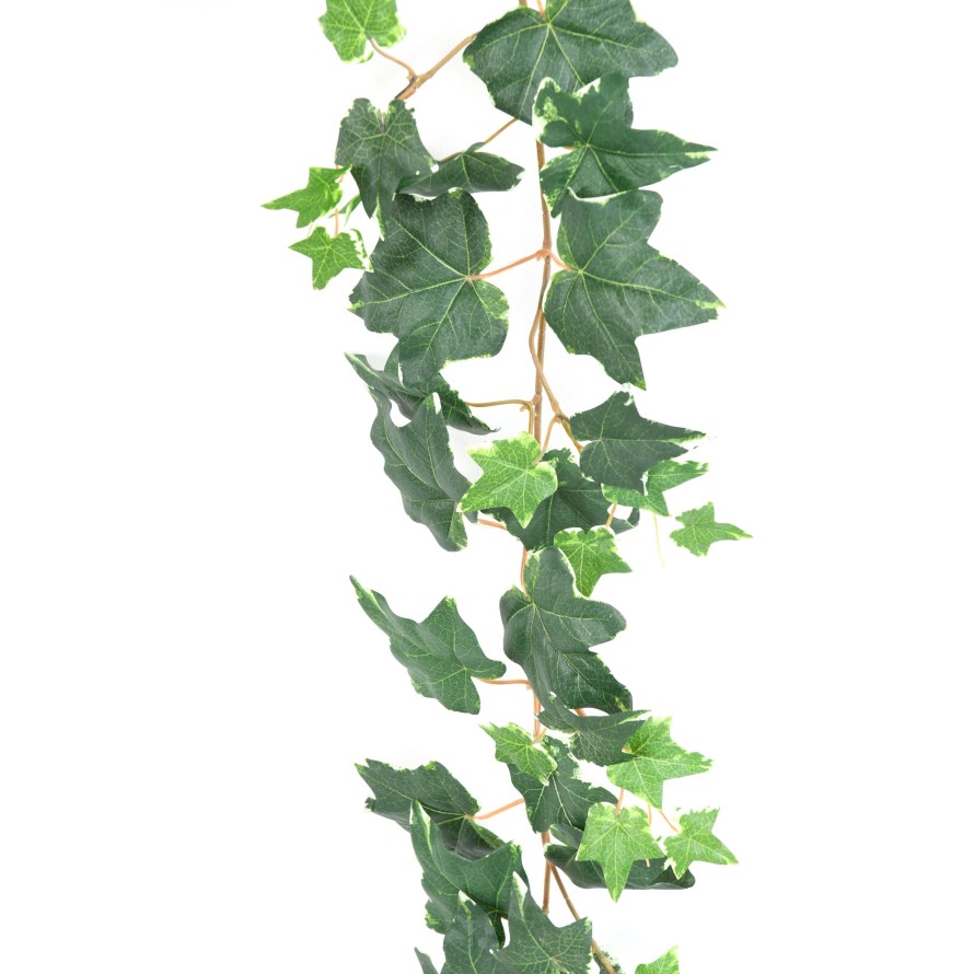 IVY (DUTCH) GARLAND 190