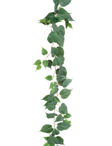 POTHOS GIRLANDE 190