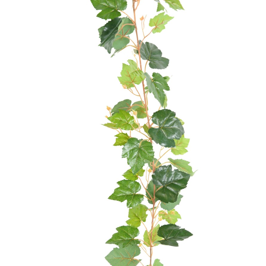 WEINREBE GIRLANDE 200