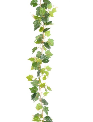 WEINREBE GIRLANDE 200