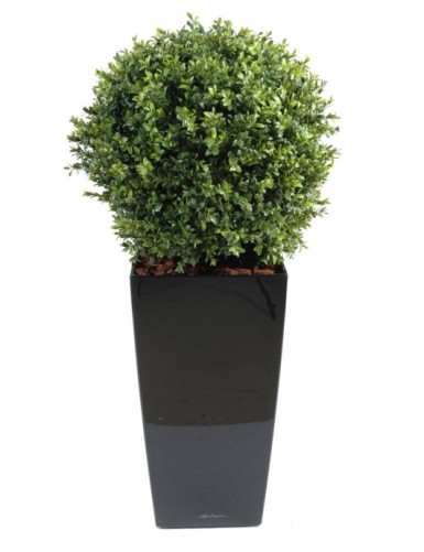 BOJ ESFERA NEW EN KUBIS