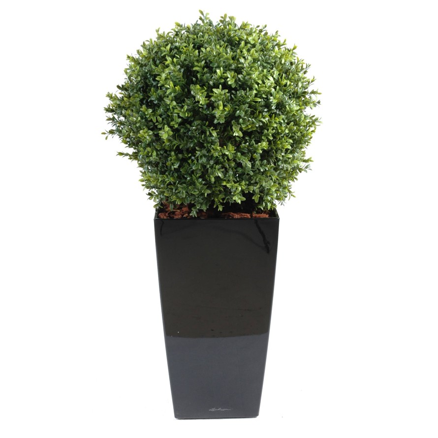 BOJ ESFERA NEW EN KUBIS