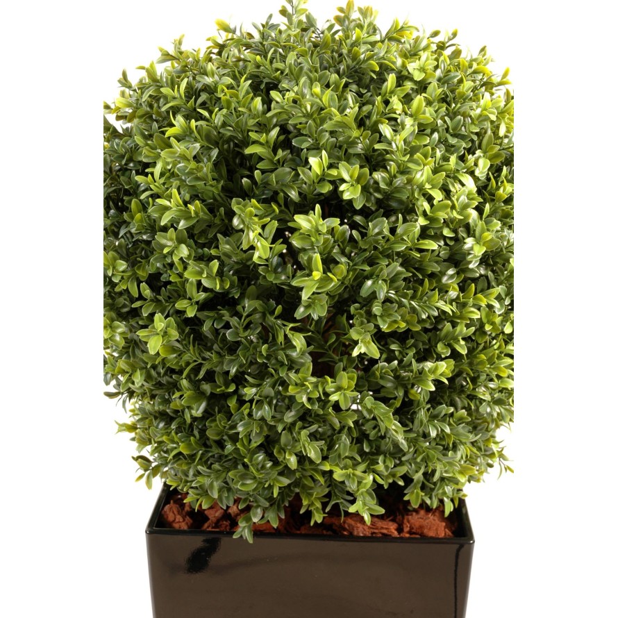 BOJ ESFERA NEW EN KUBIS