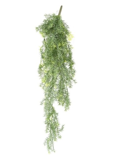 ZIERSPARGEL HÄNGEKUNSTPFLANZE