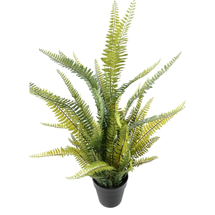 FARN BOSTON PLAST 75