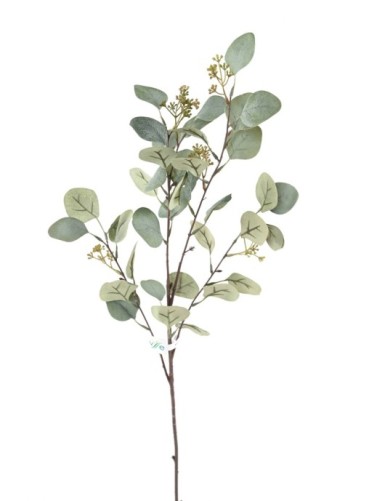 EUKALYPTUS 81 ZWEIG 90