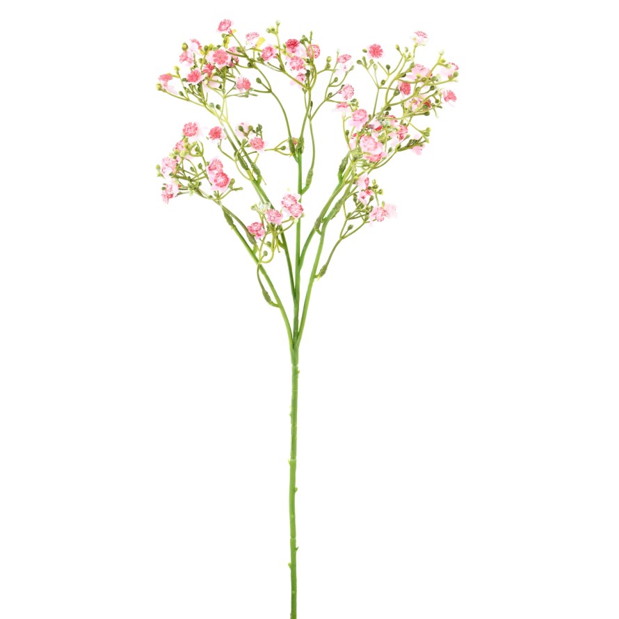 VERGISSMEINNICHT MINI