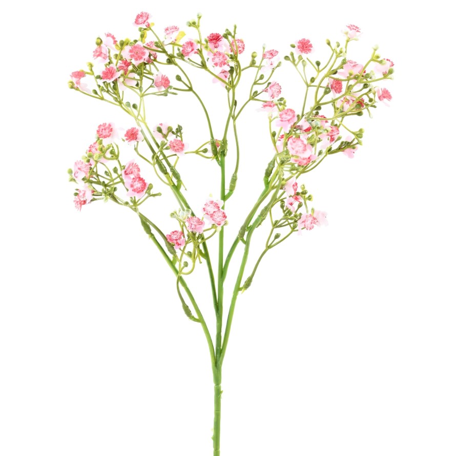 VERGISSMEINNICHT MINI