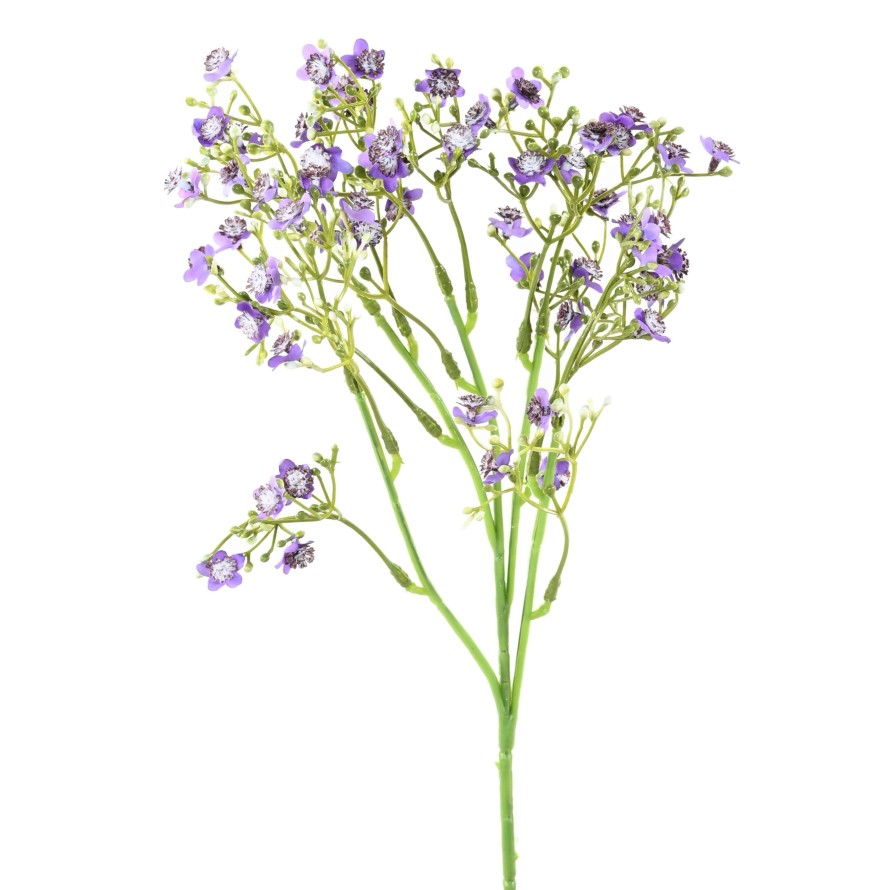 VERGISSMEINNICHT MINI