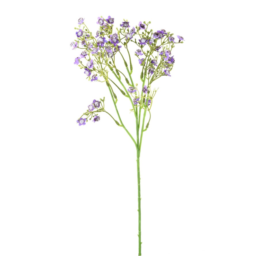 VERGISSMEINNICHT MINI