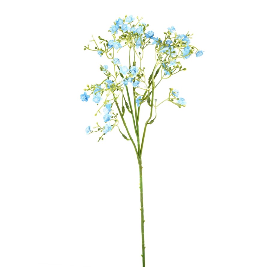 VERGISSMEINNICHT MINI