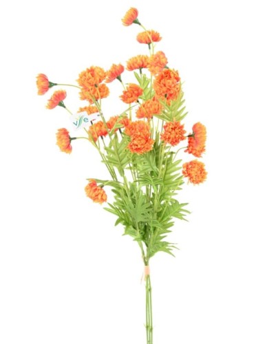 CHRYSANTHEME KOMPOSITION