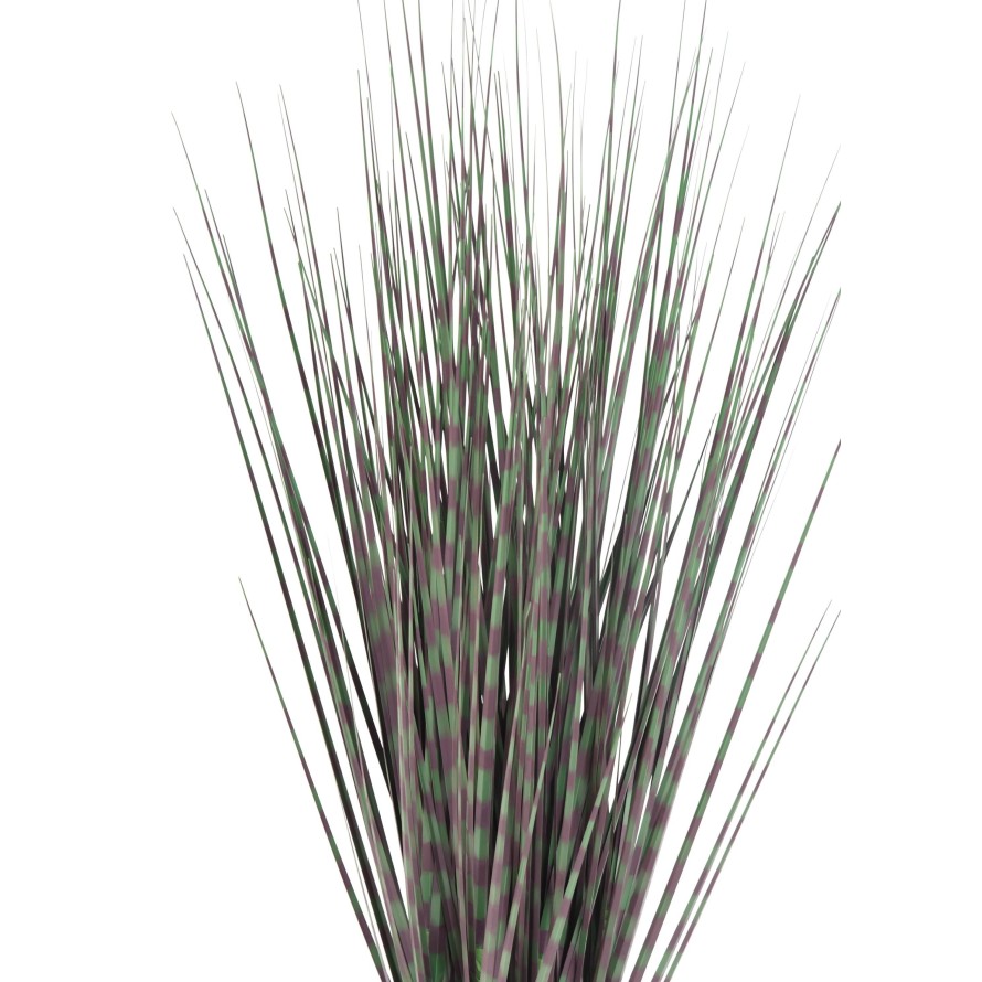 MISCANTHUS ZEBRAGRAS (Chinagras)