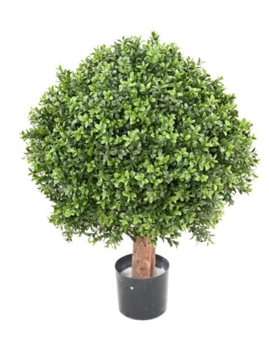 BOJ ESFERA NEW REGULAR...