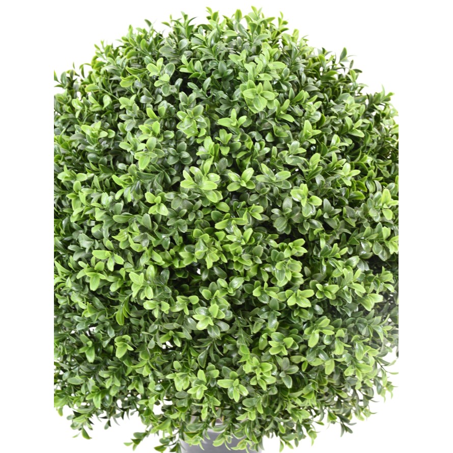 BUCHSBAUM KUGEL NEW REGULAR UV