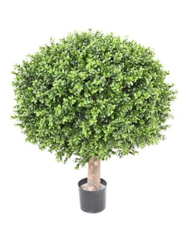 BOJ ESFERA NEW REGULAR...