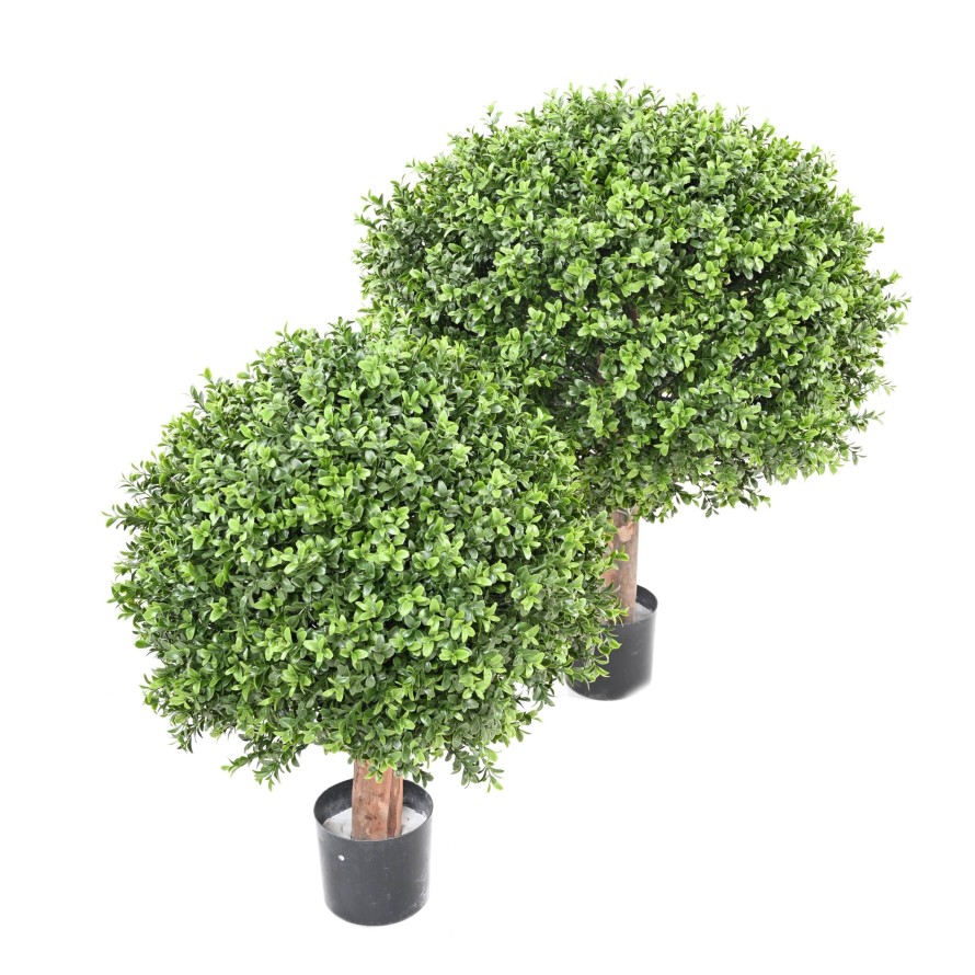 BUCHSBAUM KUGEL NEW REGULAR UV