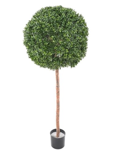 BOJ TALLO ESFERA NEW...