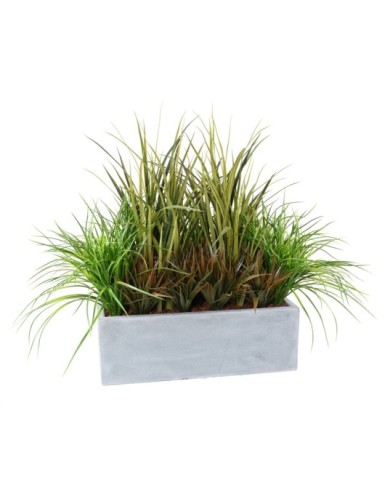 JARDINERA GRAMÍNEAS 1