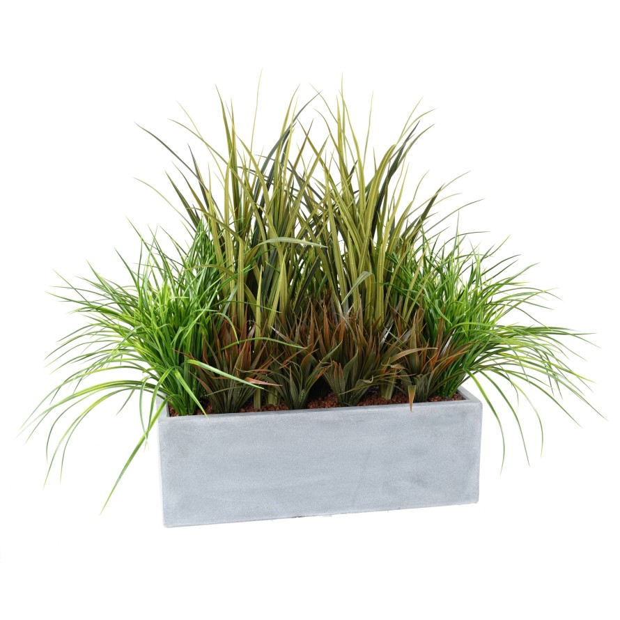 JARDINERA GRAMÍNEAS 1