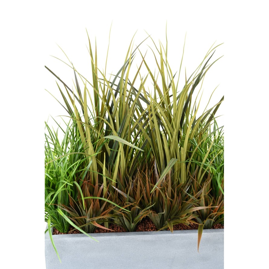 JARDINERA GRAMÍNEAS 1