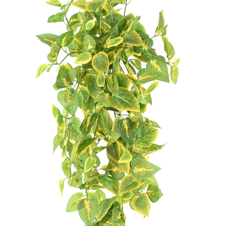 COLEUS HÄNGEKUNSTPFLANZE 75