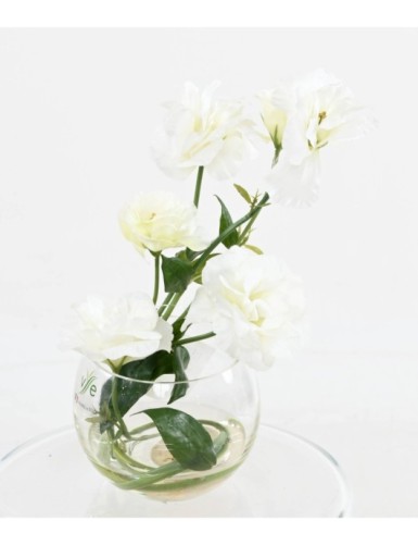 TISCHGESTECK LISIANTHUS