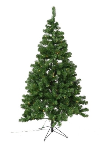 TANNE (Weihnachtsbaum)...