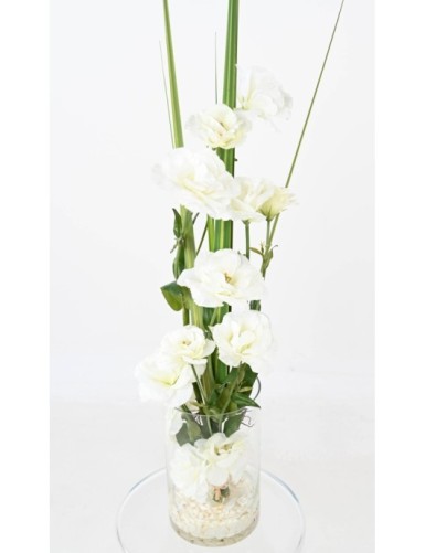 STRAUSS LISIANTHUS WEISS
