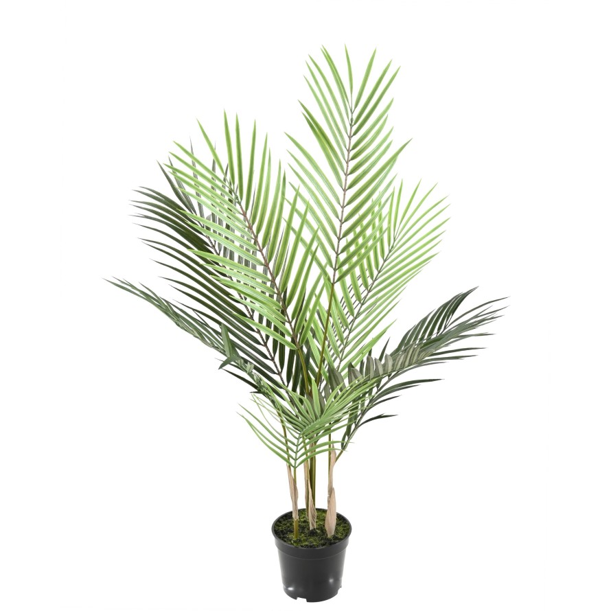 ARECA PLÁST.