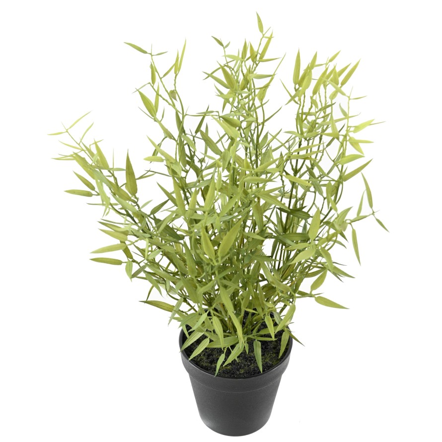 BAMBÚ MINI EN MACETA 45