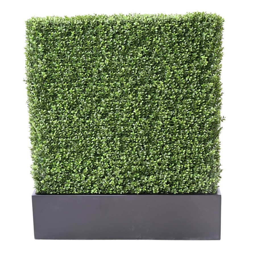 BUCHSBAUM HECKE NEW IN BALKONKASTEN