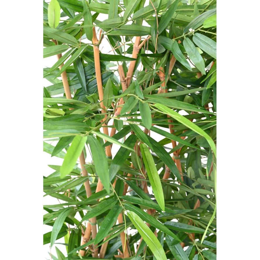 BAMBUS NEW UV HECKE SOCKEL 95