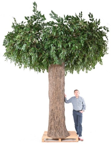 FIKUS GIANT STAMM 2 TEILE (Pfahlabdeckung)