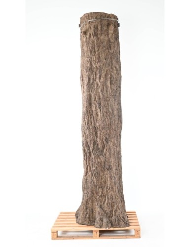 FIKUS GIANT STAMM 2 TEILE (Pfahlabdeckung)