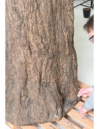 FICUS GIGANTE TRONCO 2 PARTES (para ocultar poste)