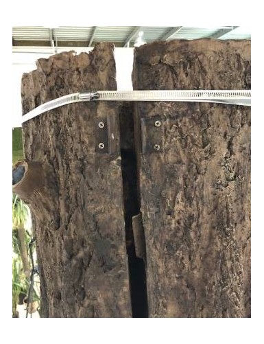 FICUS GIGANTE TRONCO 2 PARTES (para ocultar poste)