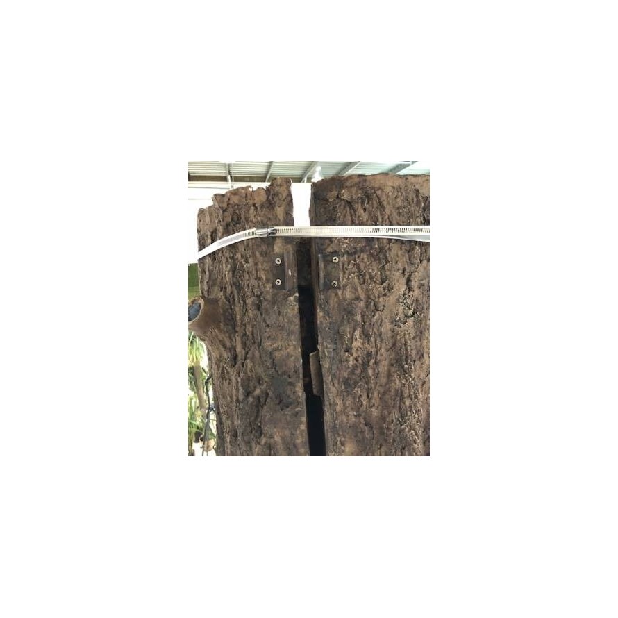 FICUS GIGANTE TRONCO 2 PARTES (para ocultar poste)